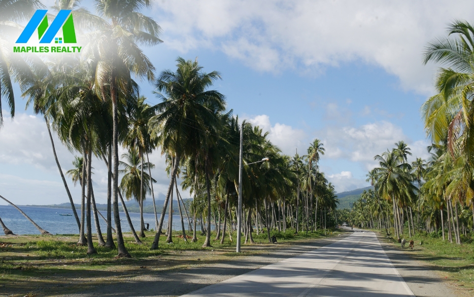 House and Lots For Sale in Davao Oriental